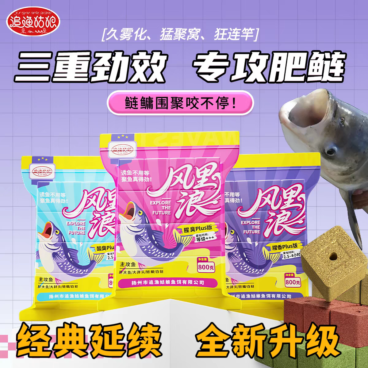 追渔姑娘升级鲢鳙方块饵料风里浪