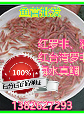 淡水红罗非彩虹鲷鱼苗活体包邮