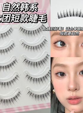 好韩鸭！短款韩系女团假睫毛~自然上镜清透一片式对毛根根分明