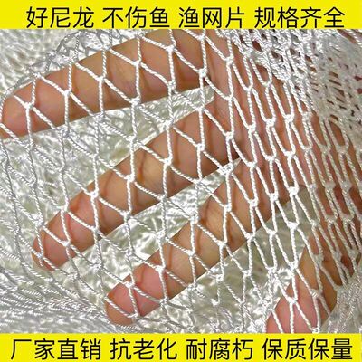 定制尼龙网渔网拉网养殖网抬网隔断清塘网捕鱼网沉网养鱼网箱鱼网
