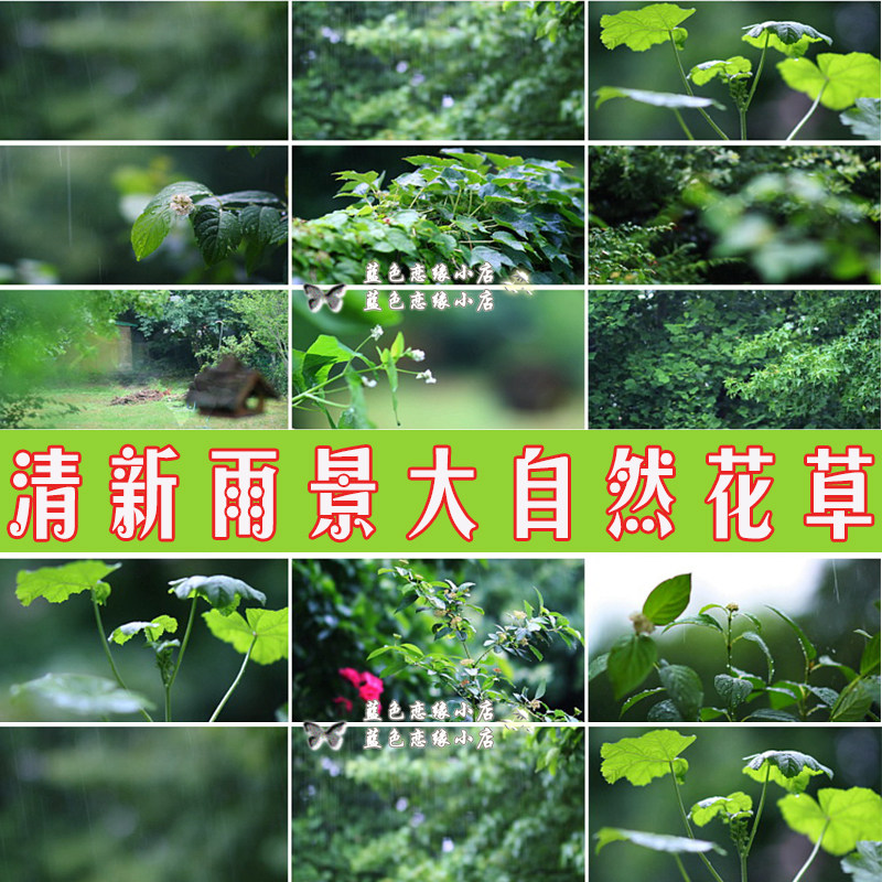 清新雨景下雨天雨水淋湿花草唯美设计素材/源文件