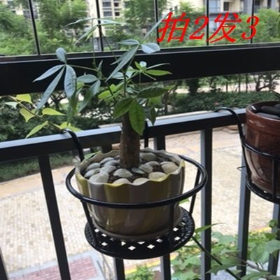阳台上的省空间外挂式花架图片