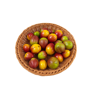 仿真油桃果假水果果篮拍摄模型道具家居装饰餐桌客厅摆设厂家直销