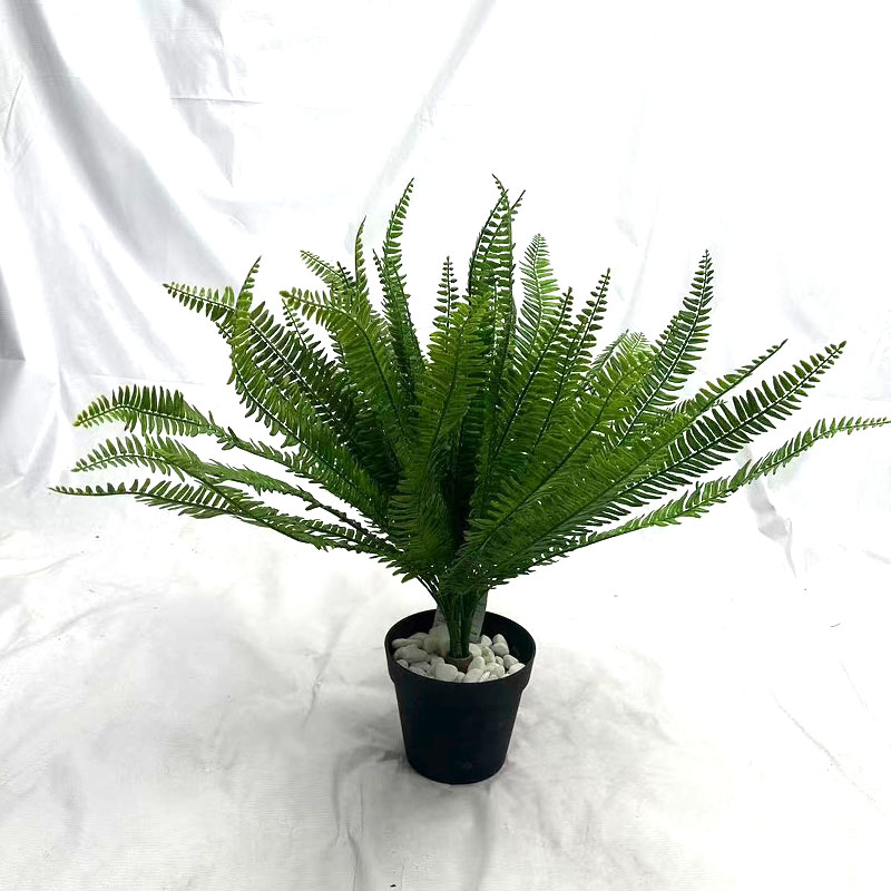 祥瑞松枝蕨类仿真植物图片