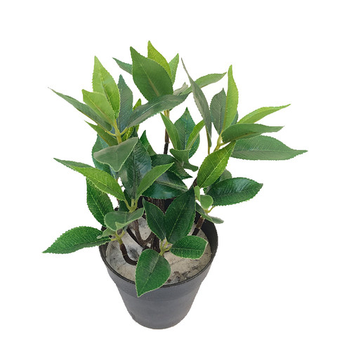 新品仿真植物窄基红叶橄榄田园