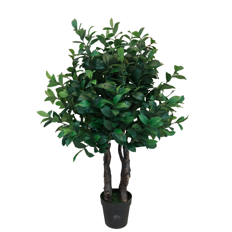 仿真植物油茶树大号绿植毛尖茶乔木盆栽园林工程造景装饰厂家直售