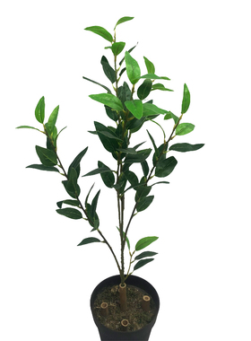 仿真植物假树叶 过胶橄榄叶月桂叶果树 落地盆景客厅工程装饰直销