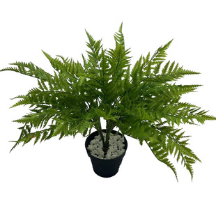 仿真植物蕨类把束13头绿植波斯草园植物小装饰波士顿蕨厂家直销