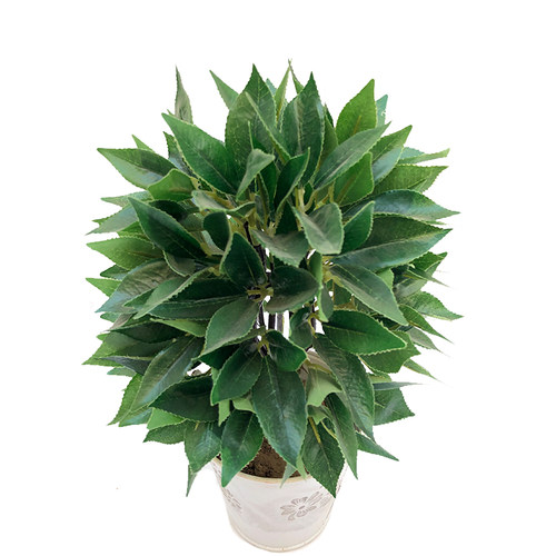 新品仿真植物窄基红叶橄榄田园