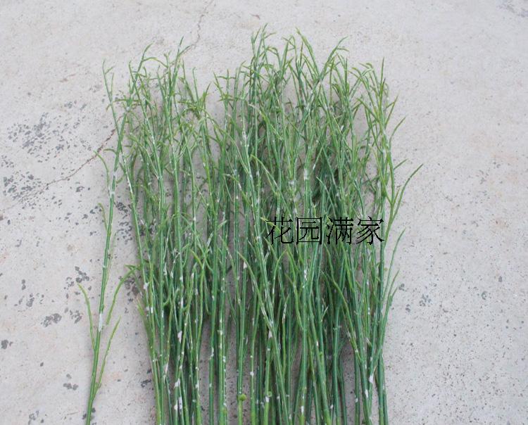 仿真假树叶问荆叶单枝梭梭草叶香附子沙漠盆景植物创意厂家直销
