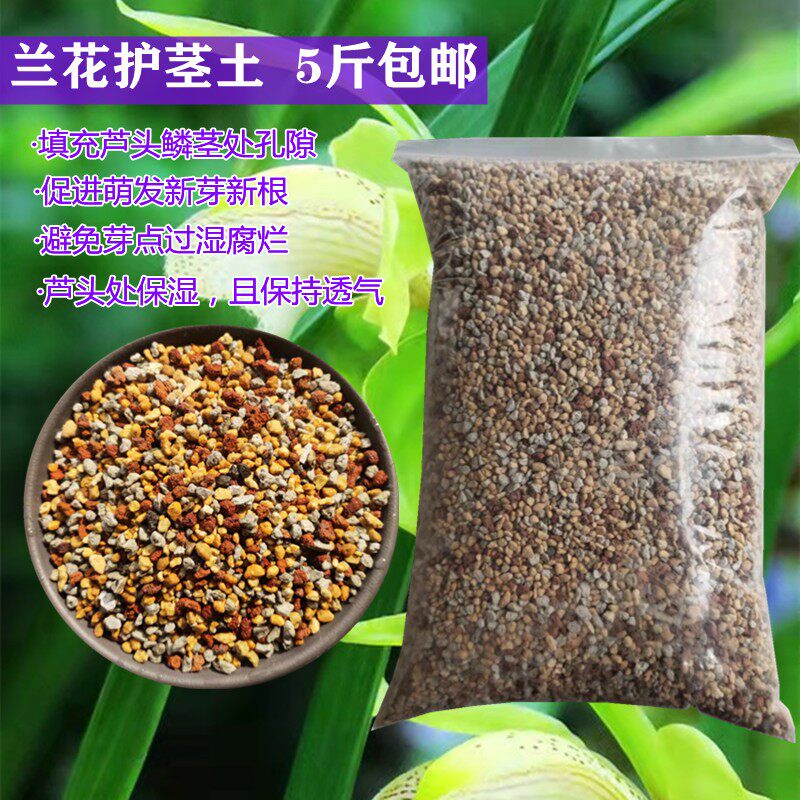 兰花护茎土兰草填充芦头鳞茎保护新芽护心土铺盖盆面颗粒石包邮
