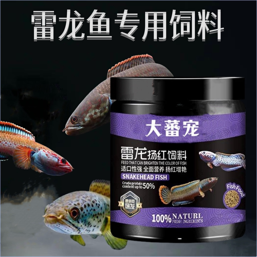 雷龙鱼饲料阿萨姆眼镜蛇雷龙奶茶七彩雷龙鱼苗增色小鱼粮专用鱼食