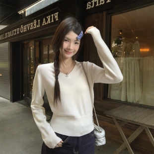 2026春秋冬季V领坑条针织衫女杏色打底衫女内搭韩系显瘦长袖上衣