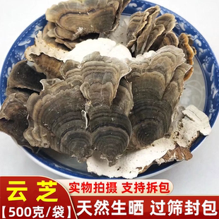 云芝野生中药材 东北野云芝 云芝菌 黄云芝新鲜干货 正品500g包邮