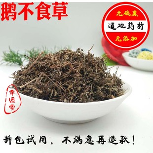 鹅不食草中药材野生正品可磨鹅不食草粉石胡荽 食胡荽 500克包邮