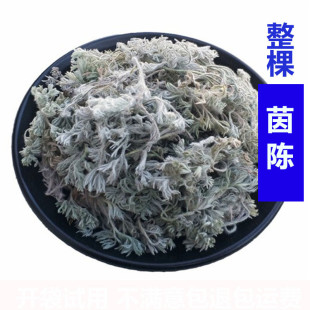 中药材新货绵茵陈500g克天然白蒿草茵陈整颗茵陈中草药无硫