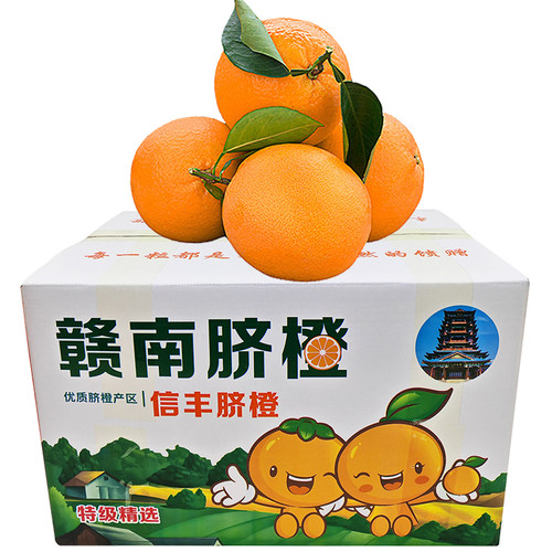 新鲜带叶精品江西信丰赣南脐橙