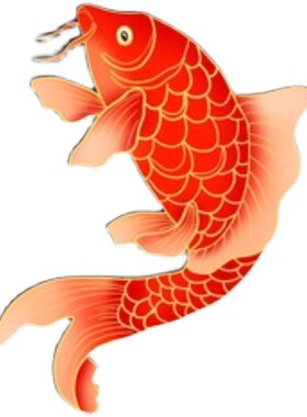 JCMM JANE 撞色美背