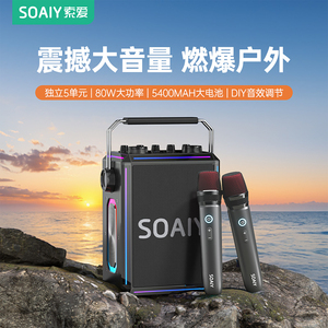 索爱SSK03蓝牙音箱家用k歌音响话筒麦克风户外唱歌广场舞户外演出