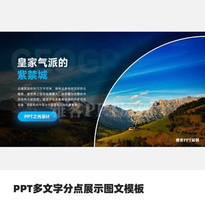 PPT多文字分点展示图文模板