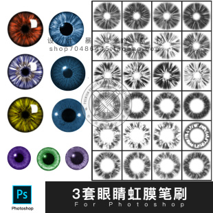 PS画笔工具 人动物眼睛虹膜笔刷 影楼写真拍摄影后期美瞳孔制作