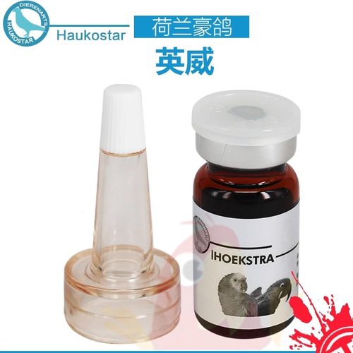 鹦鹉鹦鹉病毒pbfd荷兰豪鸽英威