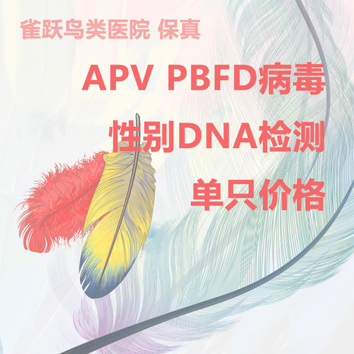 DNA检查性别检测检测套餐APV病毒