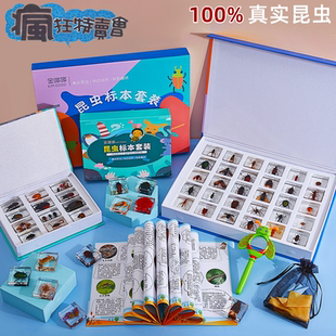 昆虫标本真虫幼儿教学科普认知海洋琥珀摆件树脂动物标本真实 新款