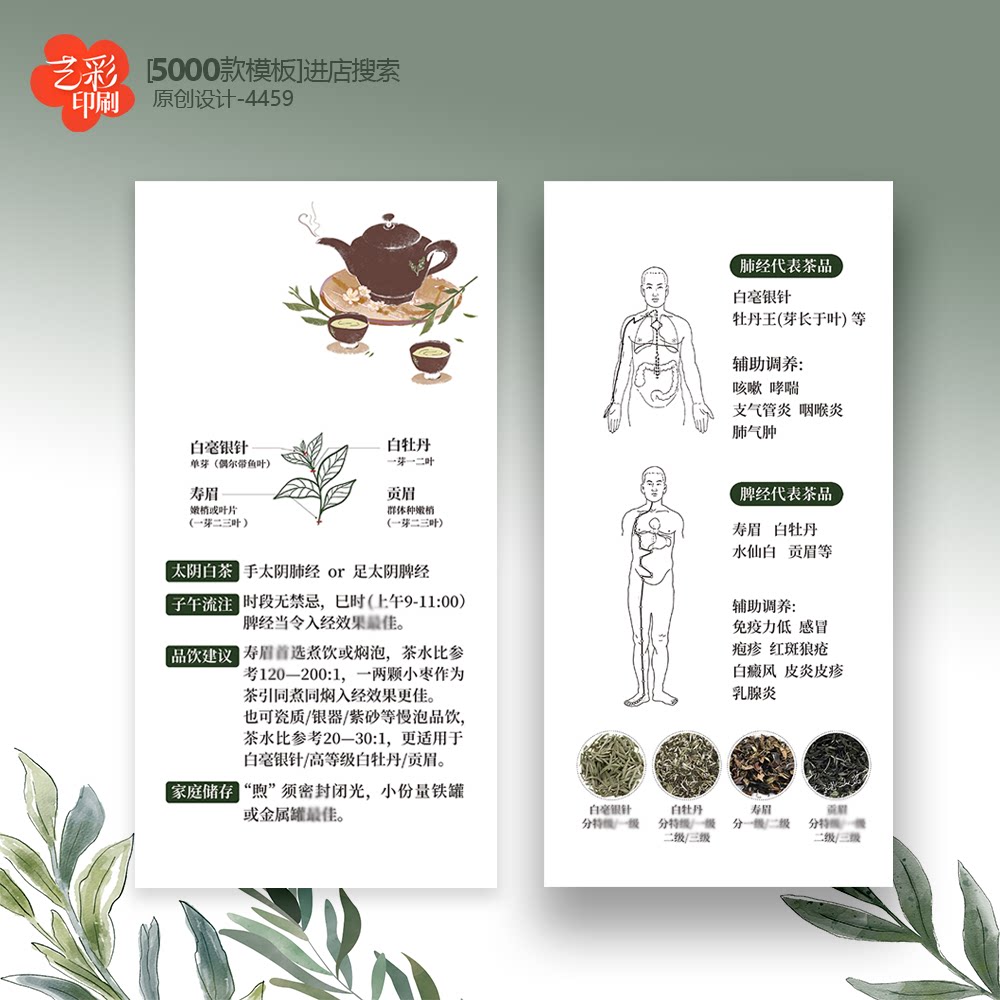 白毫银针 白牡丹 寿眉 贡眉 养生茶 茶叶卡片茶叶介绍卡片定制