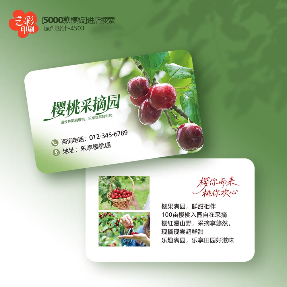 樱桃名片樱桃采摘园名片大樱桃采摘券樱桃园名片定制印刷