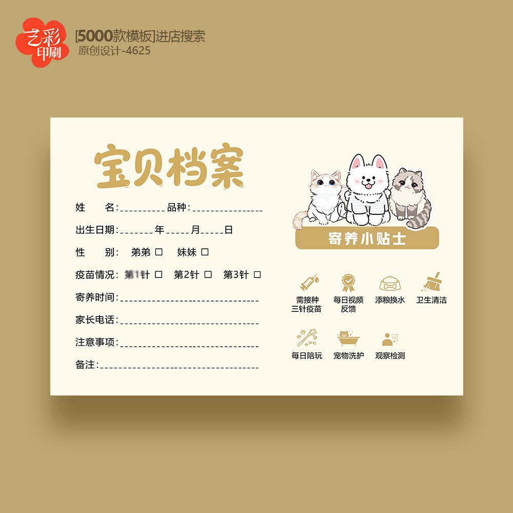 宠物卡片 宠物信息卡 狗狗档案卡 猫咪档案卡 宠物档案卡片定制