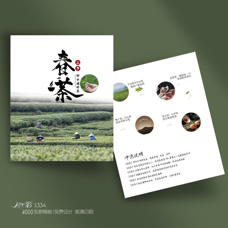 春茶茶叶茶道艺文化产品介绍