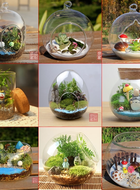 透明玻璃吊瓶创意多肉微景观DIY