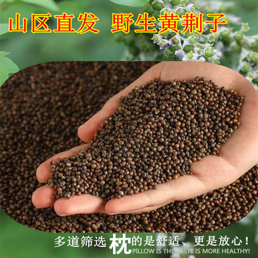 黄荆子枕头枕芯填充物布惊仁黄金子填枕芯荆棵种枕头安神凉血玩沙