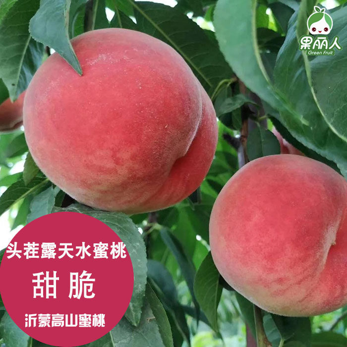 脆甜多汁桃味十足正宗突围水蜜桃