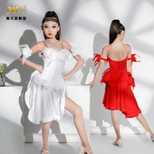 拉丁舞服高级感女童表演服羽毛款 花服成人专业比赛服儿童演出服