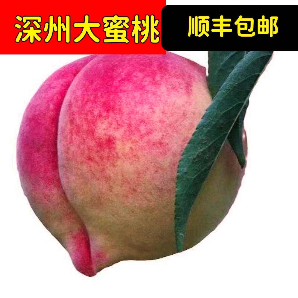 深州蜜桃直卖网：让鲜甜果香传递每一刻