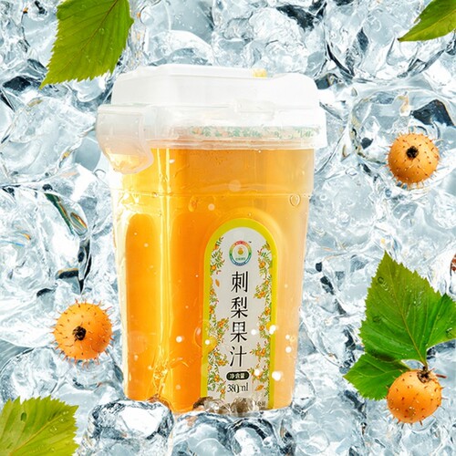 贵州丹索亚刺梨汁维生素C果汁饮料箱整风味果味冲饮果汁