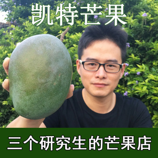 芒果凯特芒果青皮凯特芒四川攀枝花新鲜水果当季大芒果三个研究生