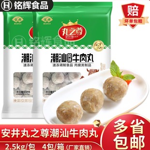 安井丸之尊潮汕风味牛肉丸2.5kg关东煮麻辣烫火锅丸子烧烤食材