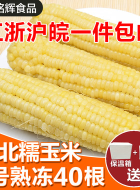 玉米东北甜冷冻糯甜糯