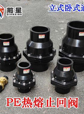 pe止回阀 逆止阀 单向阀 110 90 75管 卧式PE止水阀热熔40 50 63