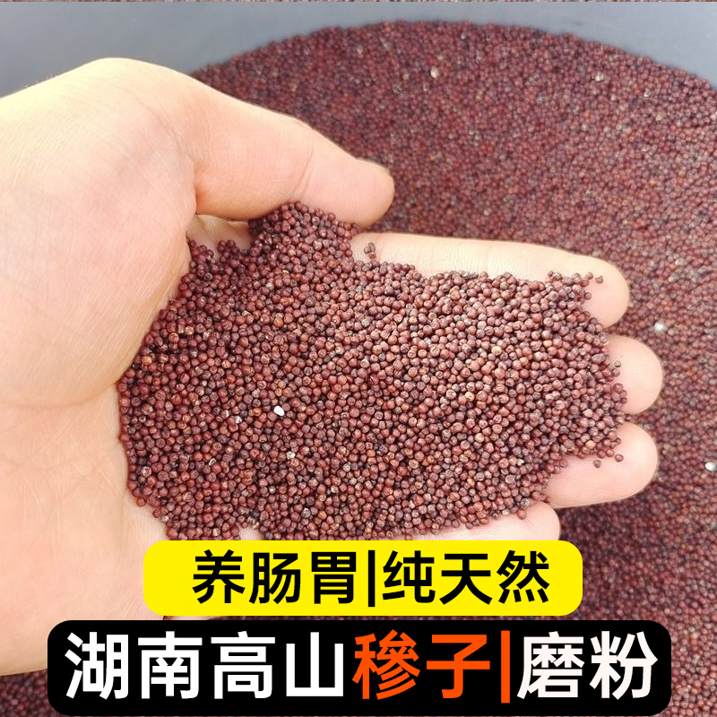 湖南山区农家五谷杂粮穇子