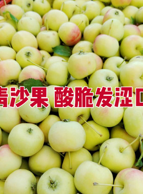 东北青沙果东北海棠果黄太平山丁子果东北特产当季水果包邮现摘