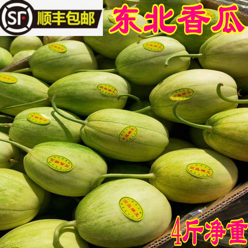 东北香瓜 白糖罐 蜜糖罐京蜜香瓜 新鲜当季特产4斤装顺丰包邮