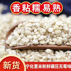 新货宁化薏米仁新鲜散装农家小薏米仁糯薏仁米杂粮福建薏苡仁500g