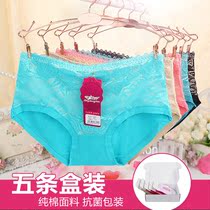 Peignoir - Ref 593249 Image 9