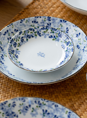 日本进口小蓝芽陶瓷家用釉下彩餐具日式米饭碗菜盘子骨碟和风汤碗