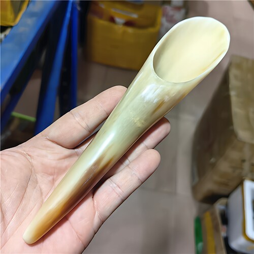 17-23厘米非洲黄牛角细长牛角筒