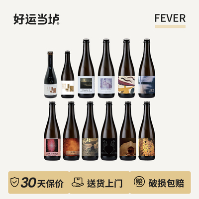 【FEVER】薄荷细雨灵魂夜巡2025法兰德斯红艾尔赛博朋克古斯750ml